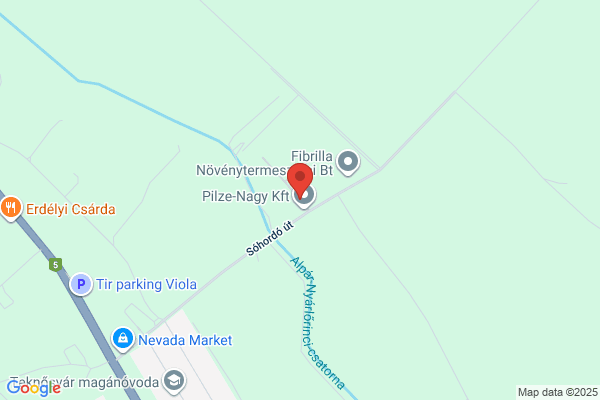 Német Szövetségi Közt. Nagyköv.