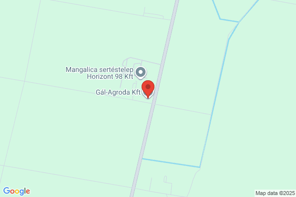 Gaál Autóház