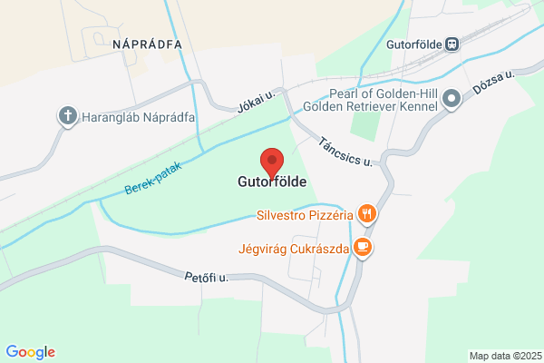 Dél-Zalai Egyesült Takarékszöv.