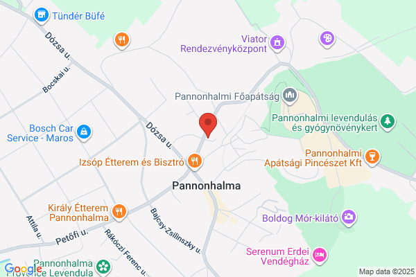 Pannon Panzió Étterem