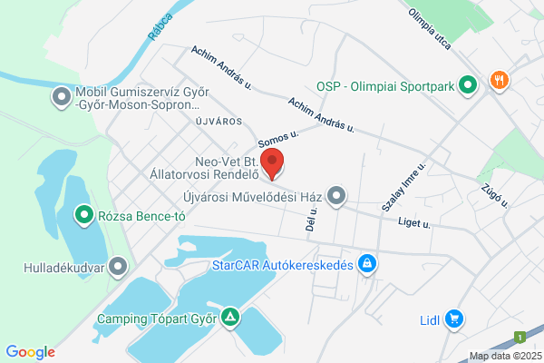 Neo-Vet Állatorvosi Rendelő