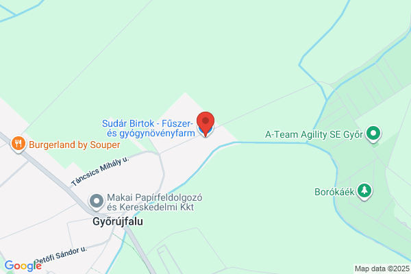 Községi Könyvtár