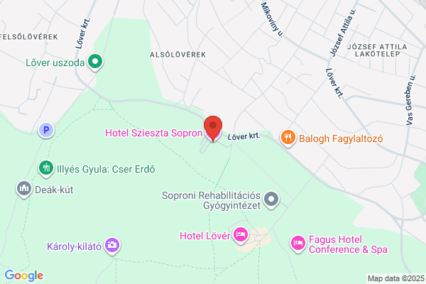 SZIESZTA HOTEL Paár