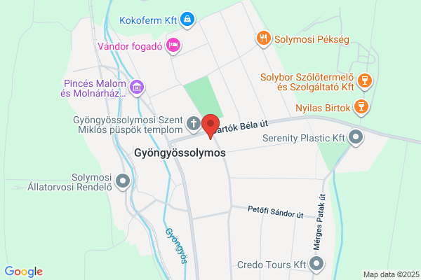 Nagy Gyula Általános Iskola