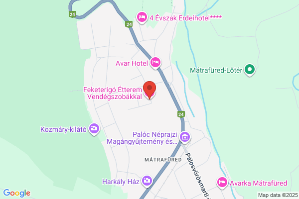 Feketerigó Étterem Panzió