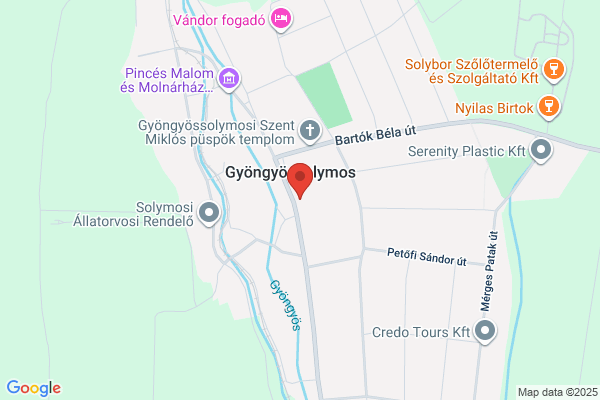 Solymos Panzió Étterme