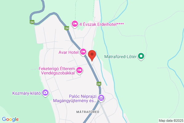 Tornyos Panzió Étterem