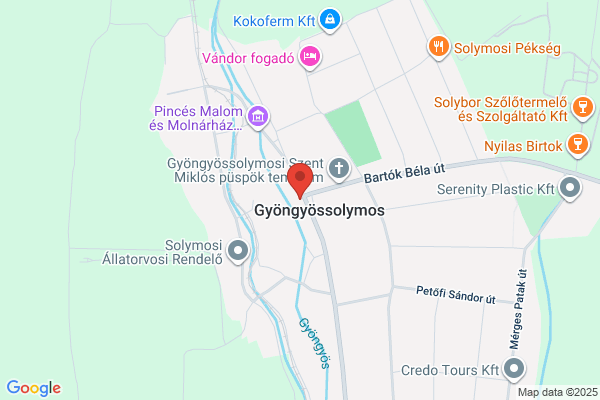 Nagy Gyula Általános Iskola
