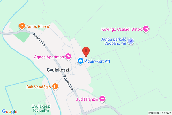Kinizsi Bank