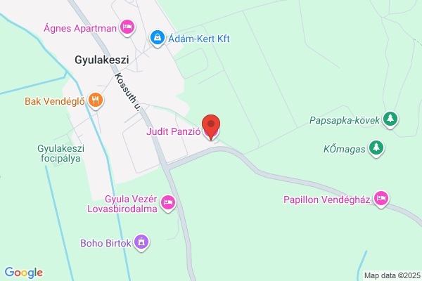 Szent György Panzió Étterme