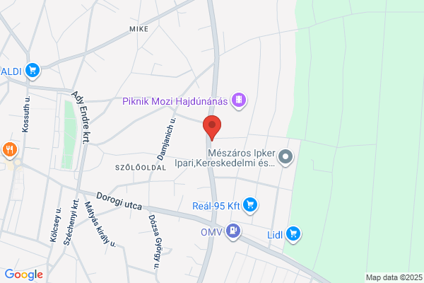 Hospit Eü. Szolg.