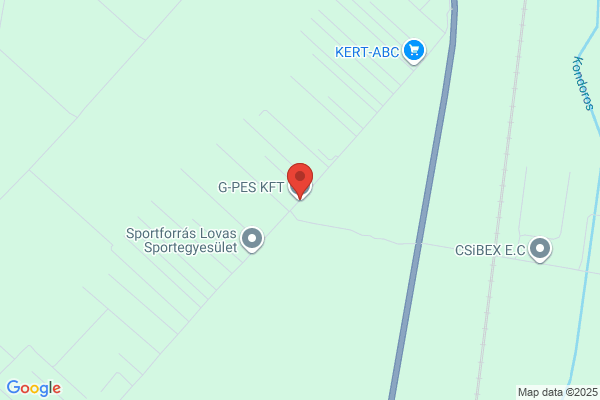 Pubertásig Gyógyító Kft.