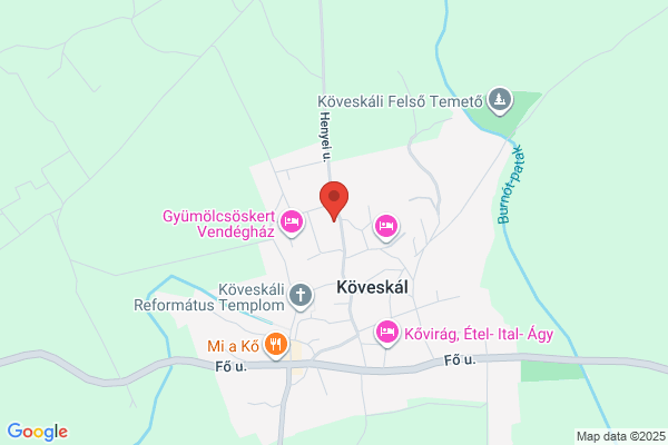 Autóriasztó és Extrák Szervize