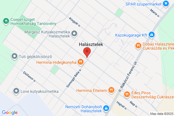FamilySearch-központ