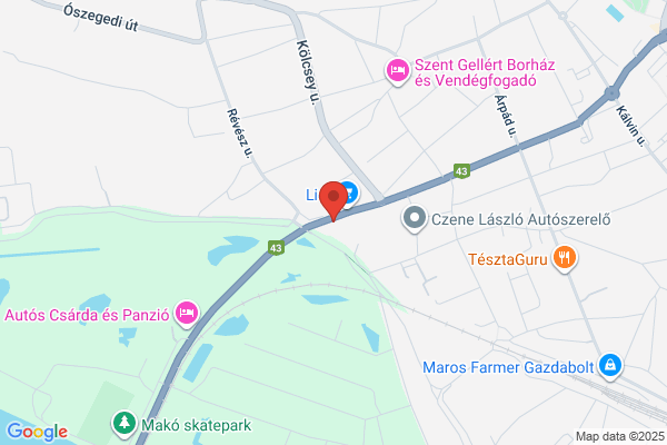 Aranyhordó Panzió