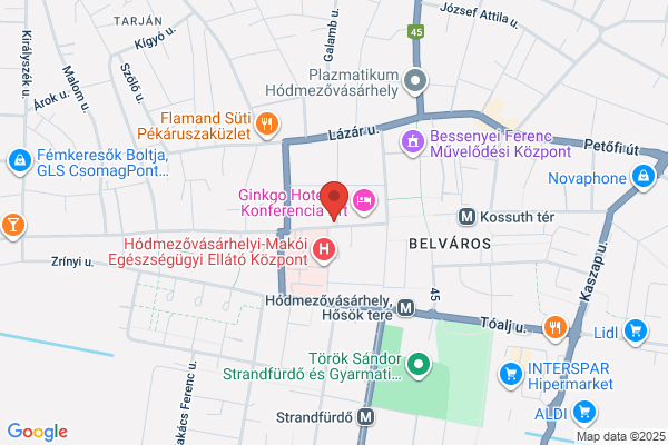 Zrínyi Gyógyszertár