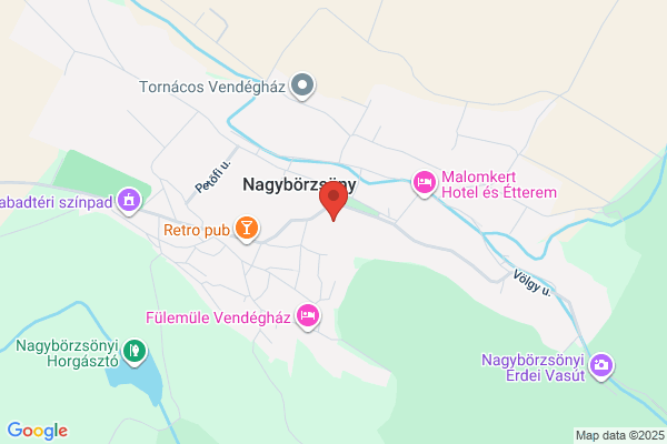 Nagy Jánosné