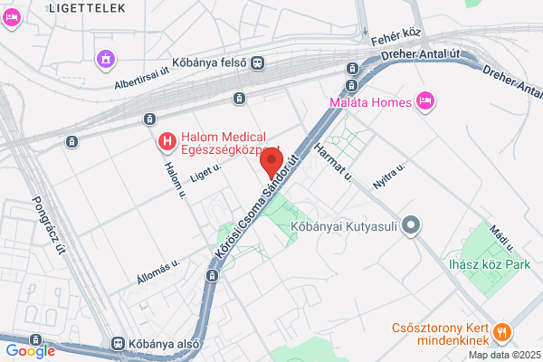 Máv Mozgásszervi Rehabil. Intézet