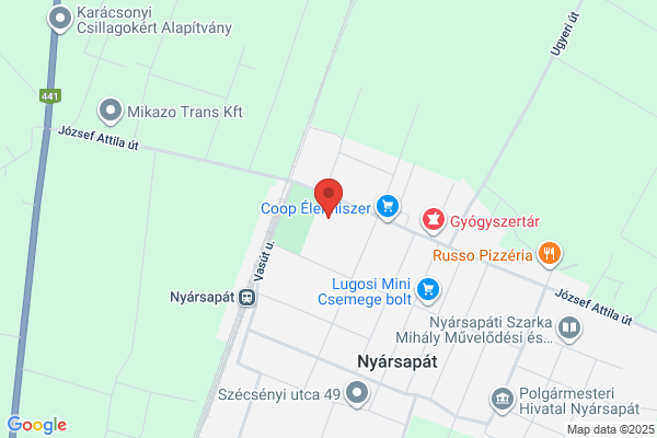 Mátyás Király Általános Iskola