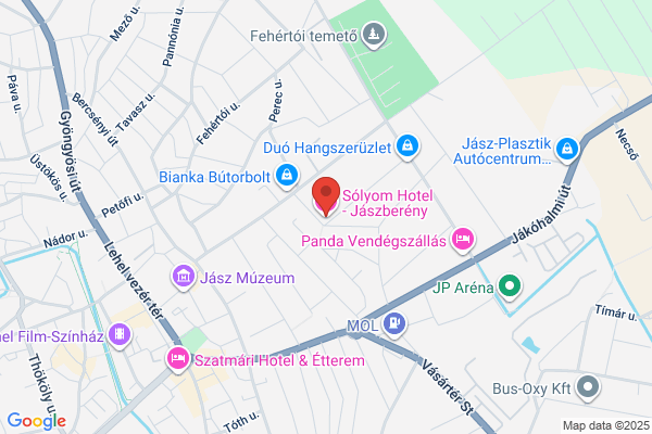 Sólyom Étterem És Panzió
