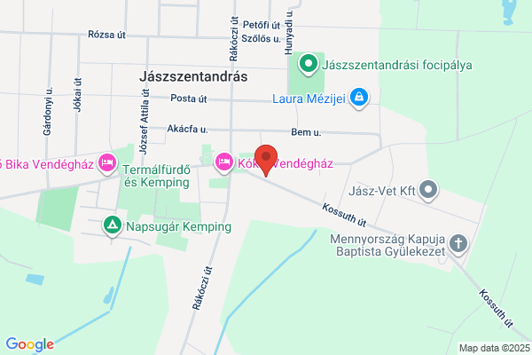 Gyógyszertár Csontváry