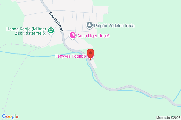 Fenyves Fogadó Panzió