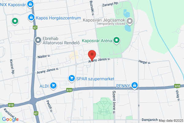 Arany kenguru étterem