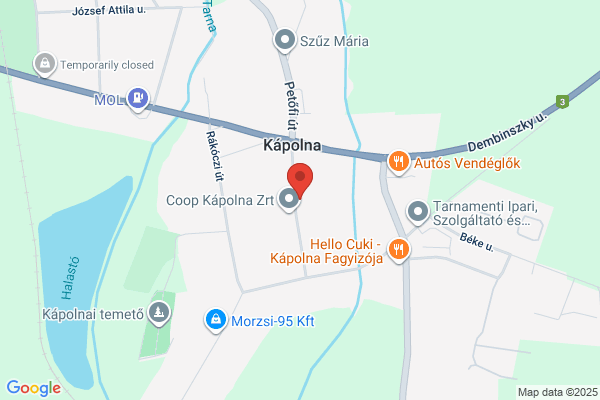 Regina Gyógyszertár