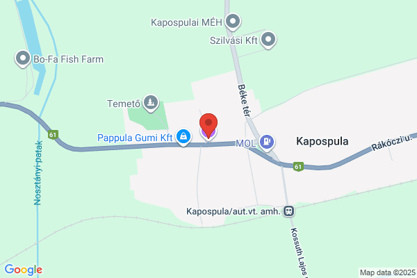 Szt Lukács Eü Kht. Feln. Ideggond.