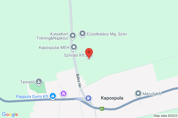 Ásványkiállítás
