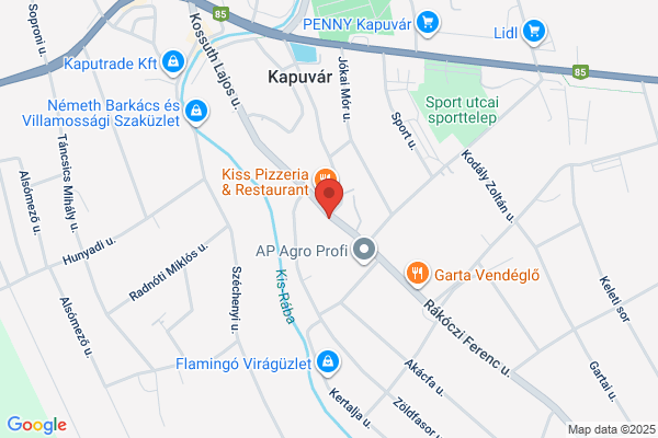 Hanság-Zsuzsi Kft.