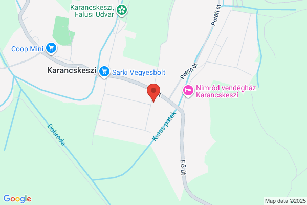 Gyógyszertár Ezüst