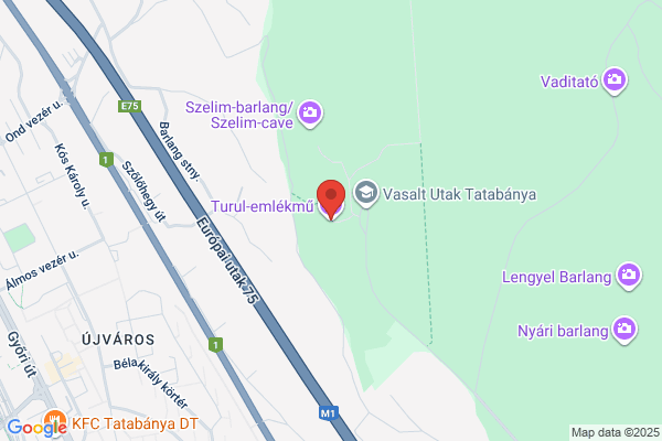 Turul Vendéglő És Fogadó