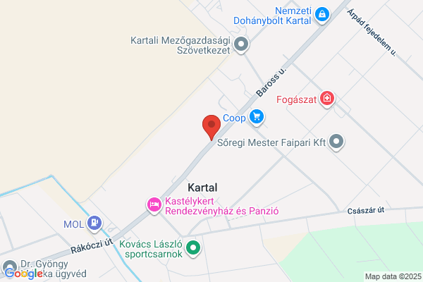 Gyógytündér Gyógyszertár