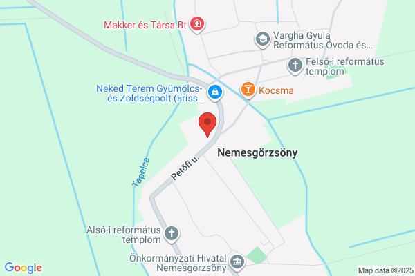 Gayer Gyula Általános Iskola