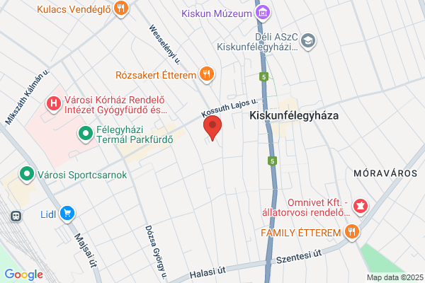Holló Gyógyszertár
