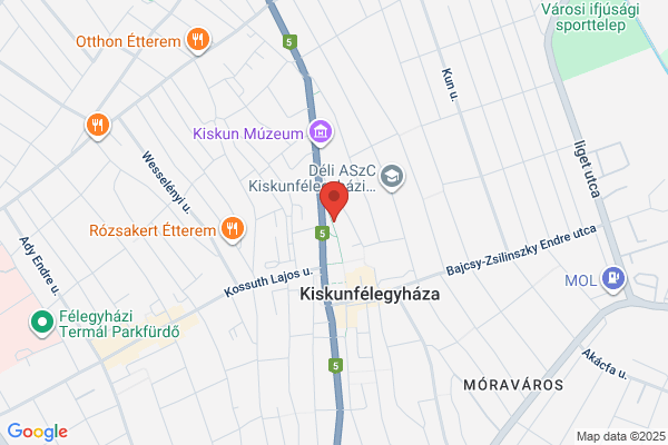 Otp Bank