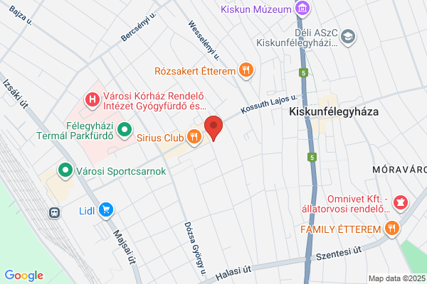 Solymosi Autószervíz