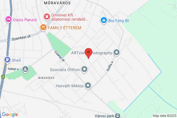 Somogyvári Péter Autómentő