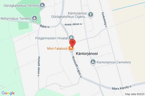 Borostyán Patika