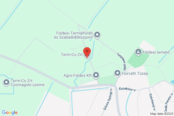 Termálfürdő