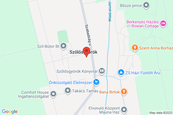 Dózsa György Általános Iskola