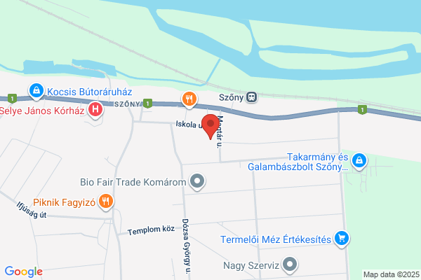 Szőnyi Bozsik József Ált. Iskola