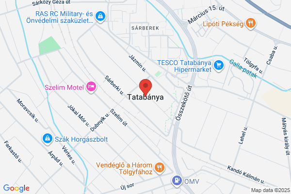 Tatabányai Műjégpálya