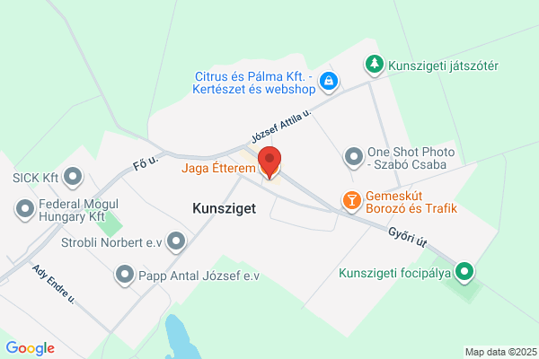 Ezüstfenyő Étterem