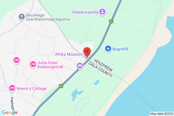Afrika Múzeum