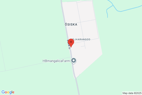 Csokonai Vitéz Mihály Ált. Iskola