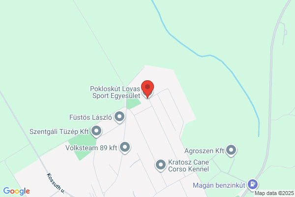 Kagyló