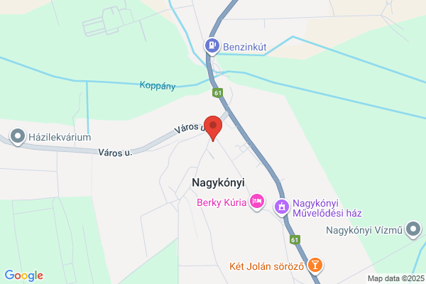 Villányi Gyógyszertár