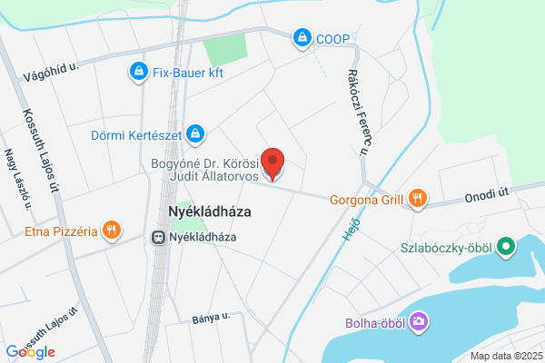 Bogyóné Dr. Körösi Judit Állatorvos